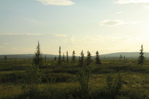 étape 9: Norvège: entre taïga et toundra