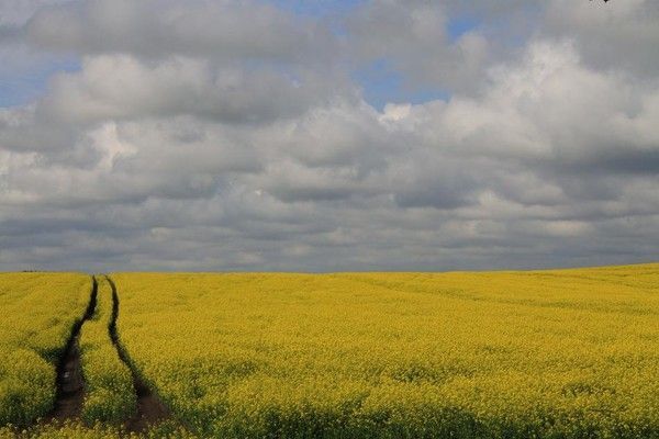 etape 6: Pologne: La Mazurie