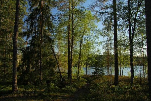 etape 8: Finlande: PN Lauhanvuoren